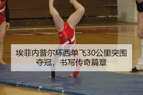 ai-fei-nei-pu-er-huan-xi-dan-fei-gong-li-tu-wei-duo-guan-shu-xie-chuan-qi-pian-zhang-2-178.jpg